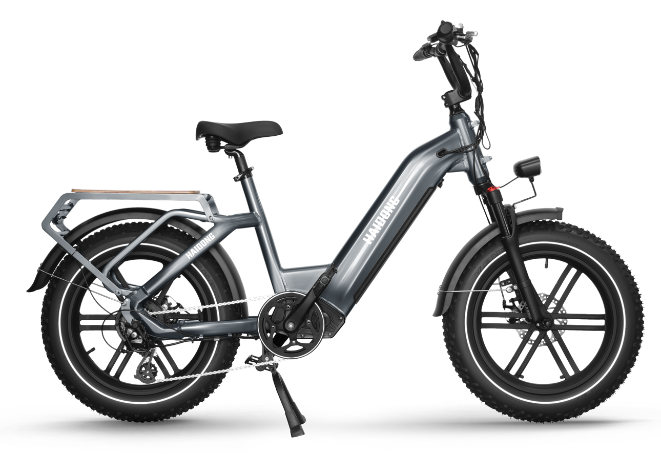 Himiway Big Dog Electric Bike